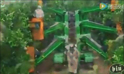 德国的认真和严谨,德国人的严谨和认真有多可怕