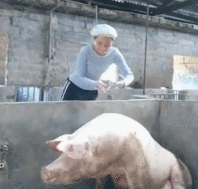 笑死人不偿命搞笑动图,p图搞笑视频笑得肚子疼