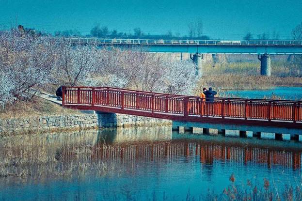 阎良最美石川河,阎良石川河秋日美景