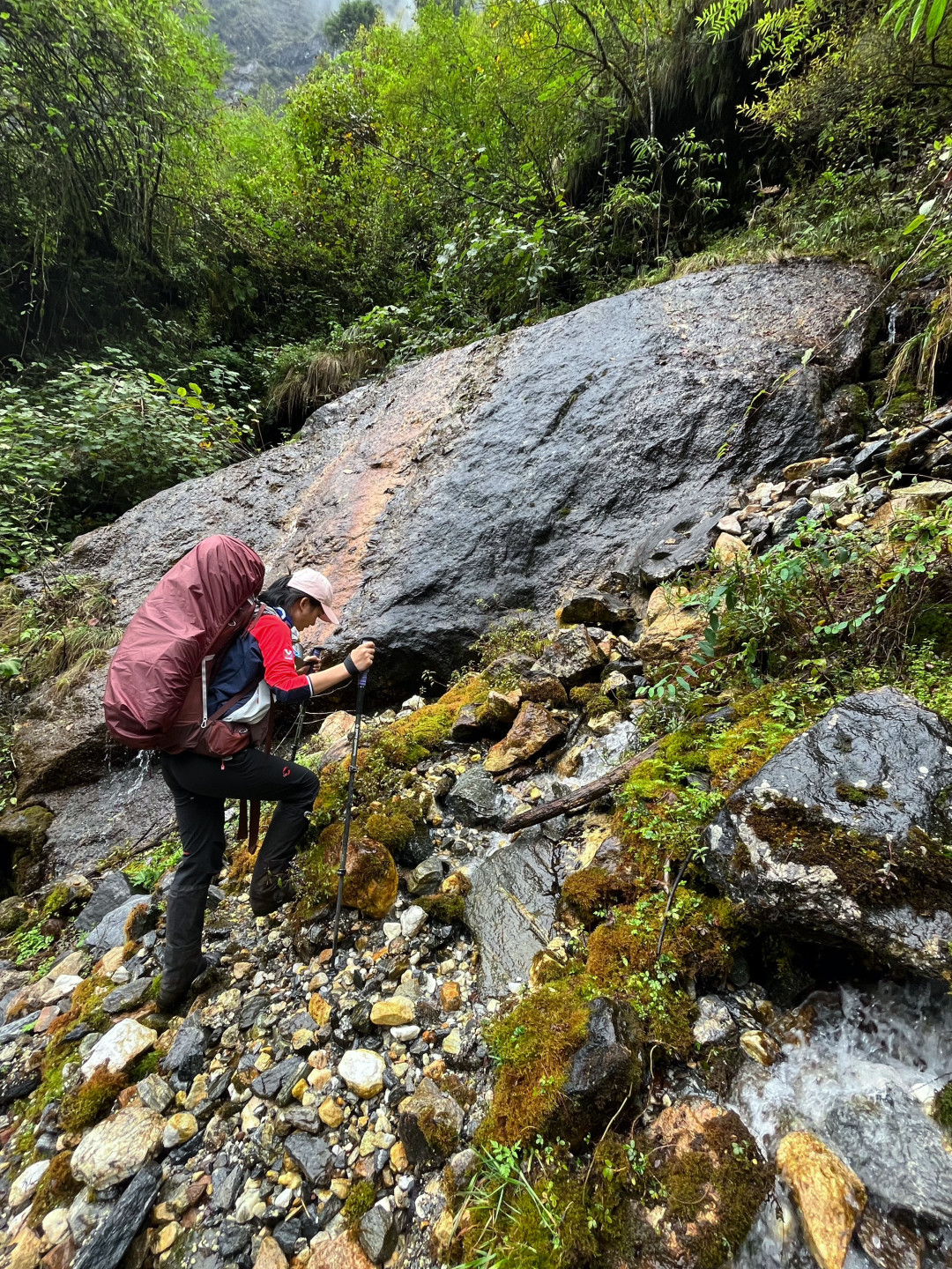 去奔赴一场旅途,去奔赴一场极光盛宴