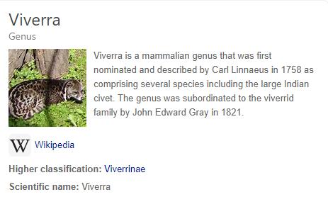 猫屎咖啡背后有多残忍,猫屎咖啡到底有多可怕