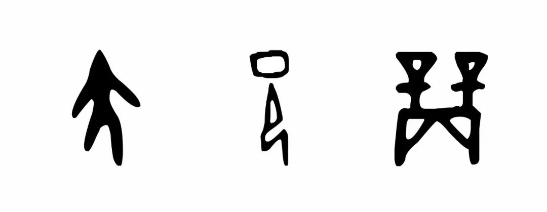 商丘市合集,商丘浓缩沙棘汁是什么