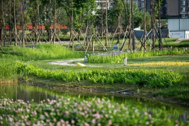 成都最有潜力的花园,成都是个大花园