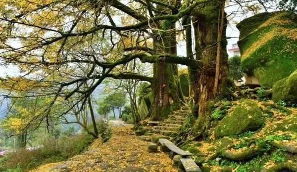 江西十大旅游秘境,春节绍兴去江西十大最美自驾路线