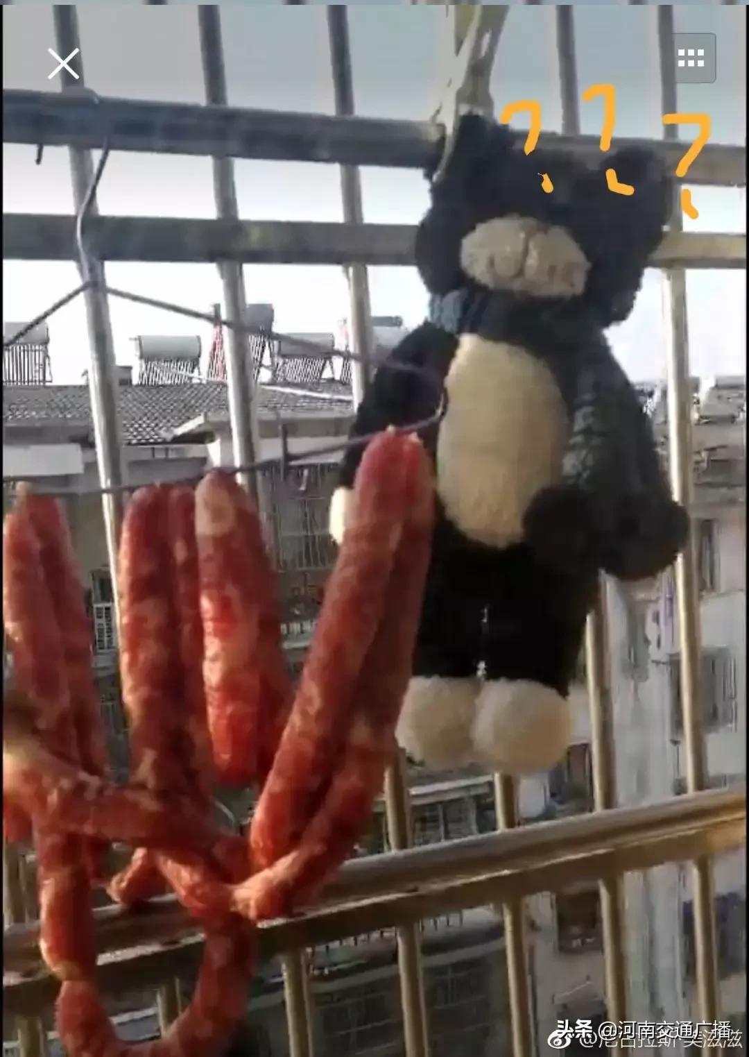 鸟儿偷吃香肠腊肉,香肠腊肉挂外面被鸟吃