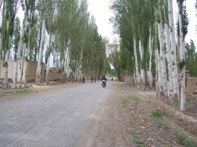 泥土的清香年轻照片,泥土的成分