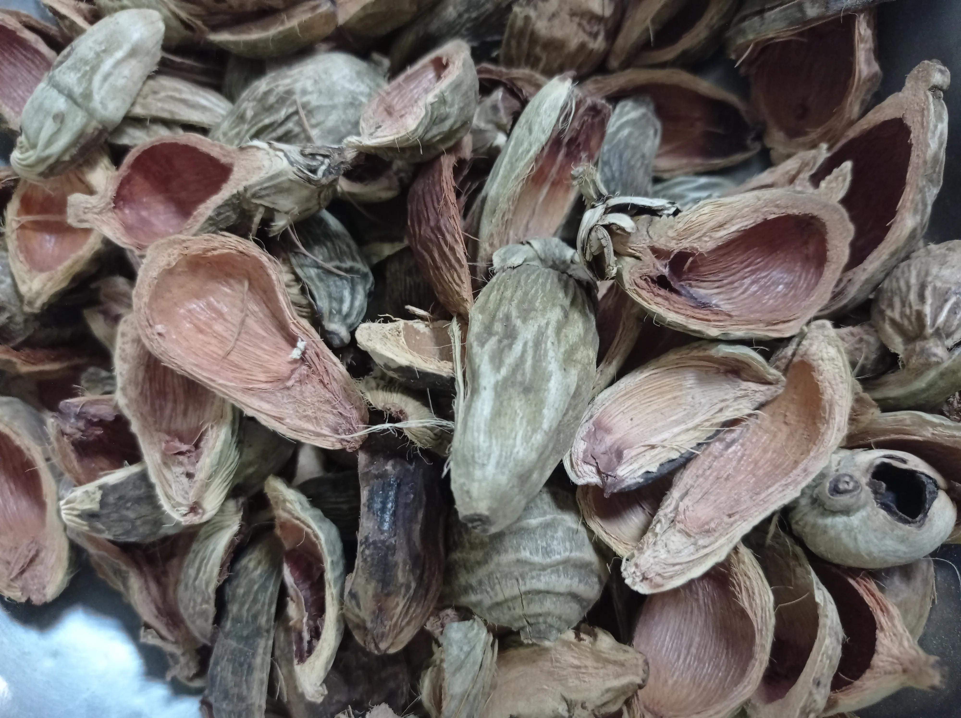 嚼槟榔致癌为什么还有人嚼槟榔,嚼槟榔致癌还是槟榔致癌