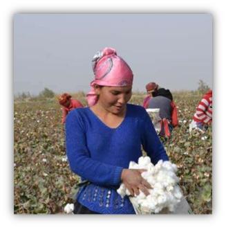 2019年度热点词大全