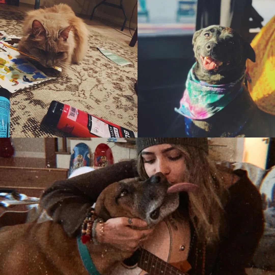 迈克尔杰克逊女儿追悼会发言,迈克尔杰克逊的第三个孩子现状