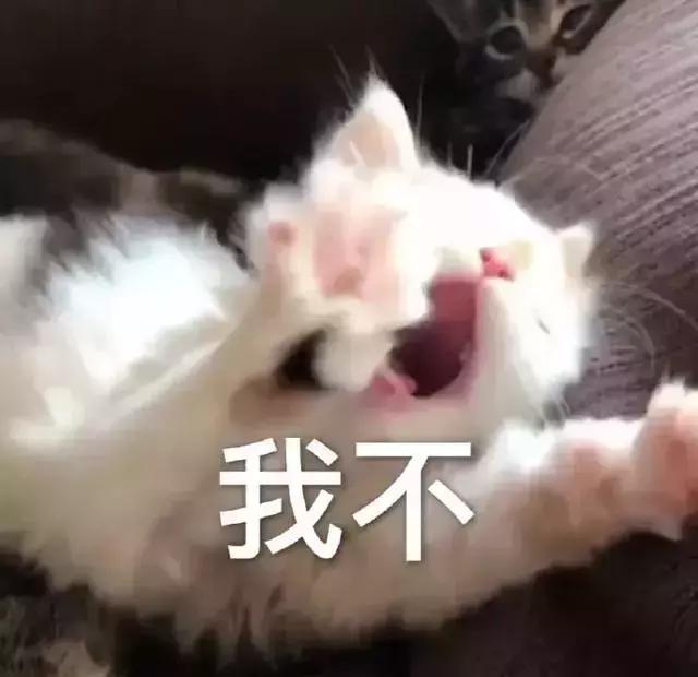 猫抓伤破皮没出血用打狂犬病针吗,潜伏期的猫抓伤人会导致狂犬病吗