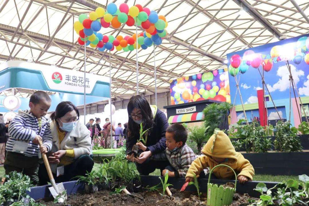 花展的意义,花展布展情况介绍