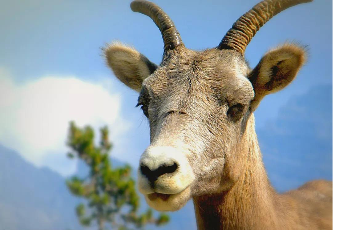长沙老太太,长沙老太