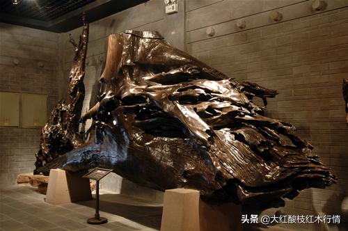 你可能不知道的地球生物,你可能不知道的植物