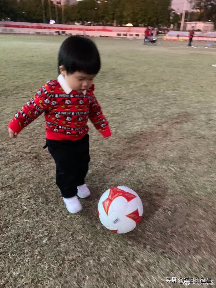 亚洲飞人苏炳添特写200字,飞人苏炳添简历