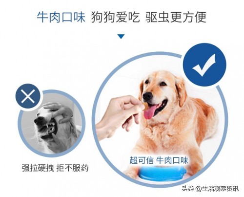 超可信、爱沃克、大宠爱测评狗狗驱虫药到底选哪个？