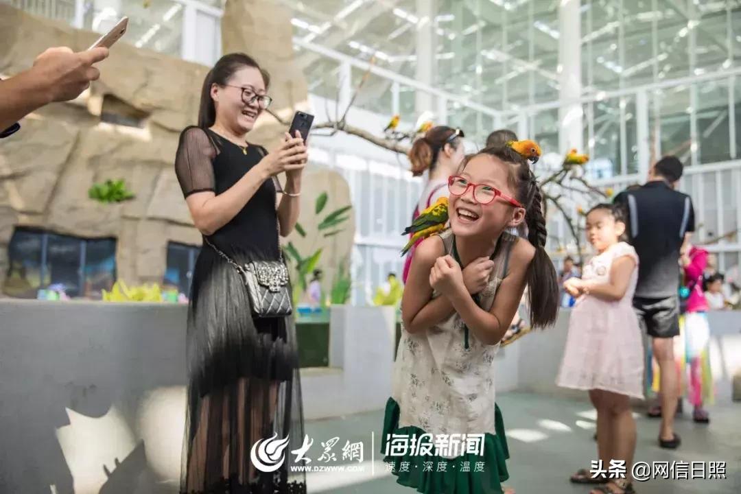 全是东北人的海边,日照海边下饺子