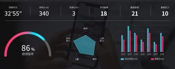 麦瑞克动感单车绝影x,麦瑞克绝影swan使用教程