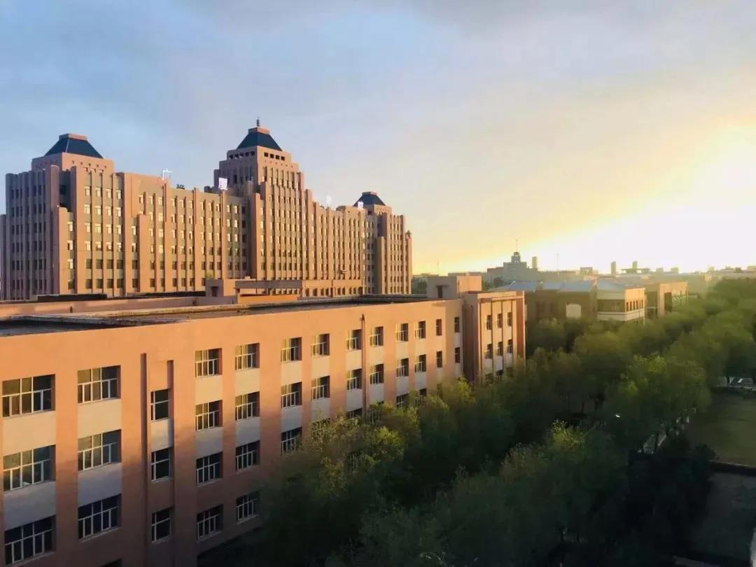 哈尔滨广厦学院蜜雪冰城,北国风光哈尔滨