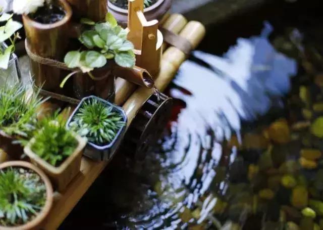 冬天手脚冷适合喝什么茶,冬天手脚冰凉适合什么茶