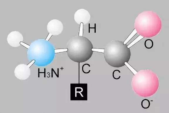 蛇在神话故事中有多重要,神话世界里的蛇