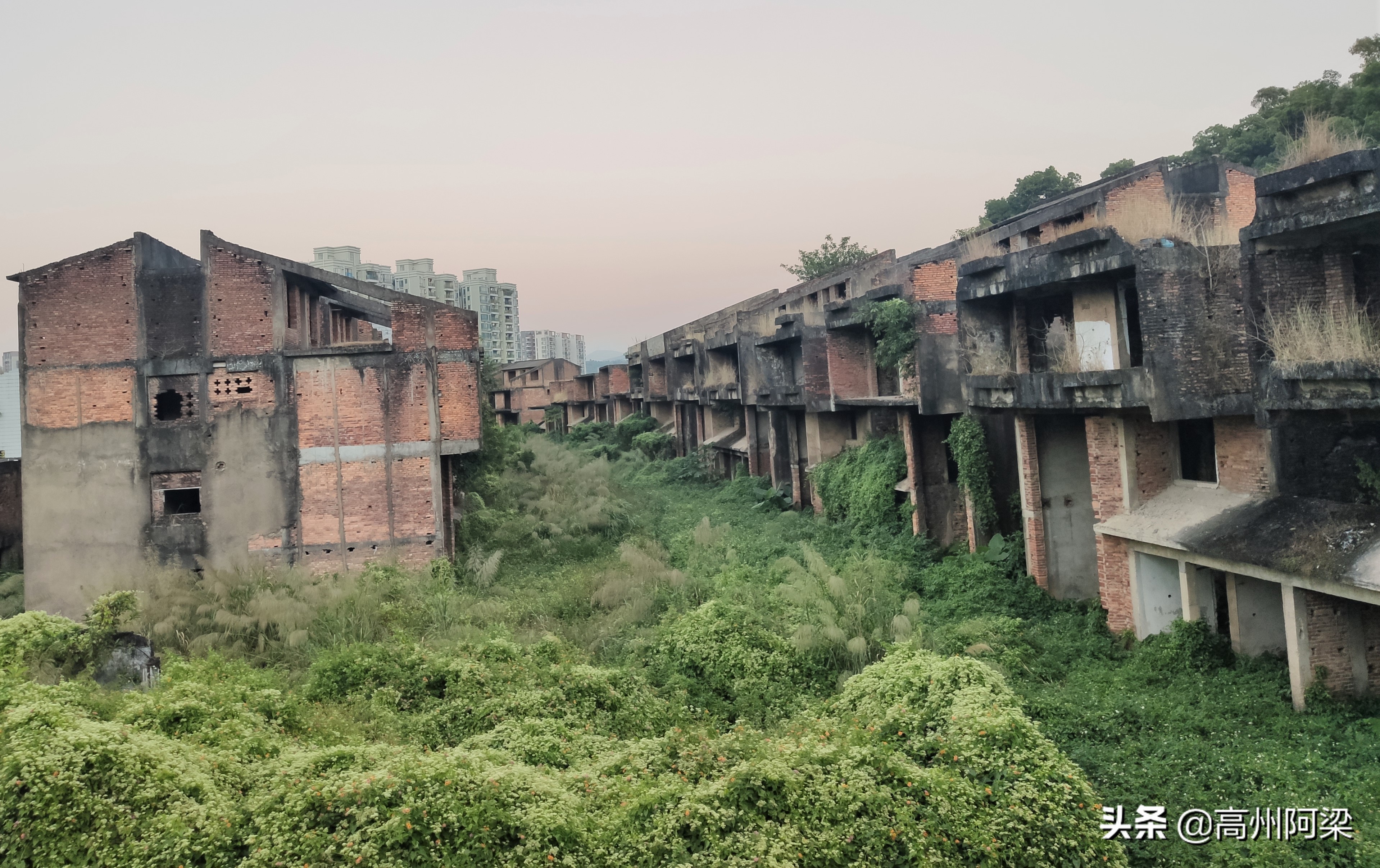 深圳半山腰富人区别墅,深圳闹市区烂尾别墅5万一楼