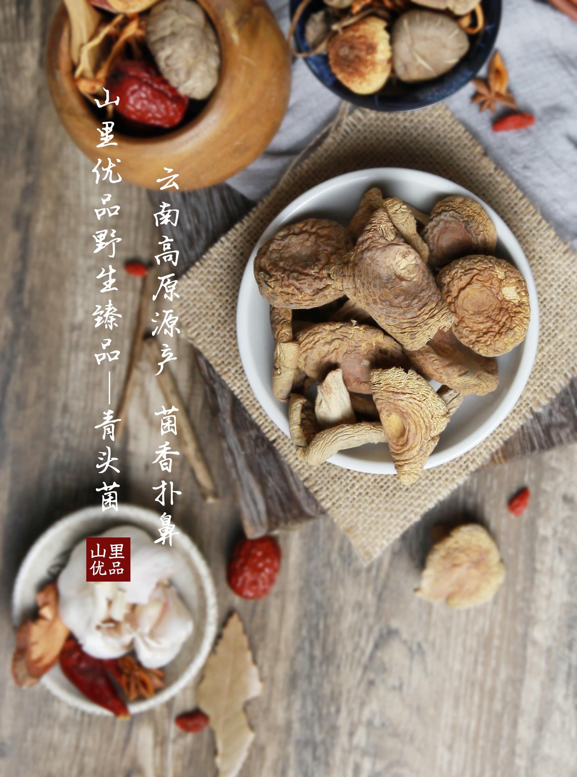 青头菌小王子,天价青头菌