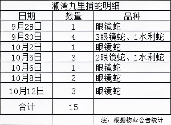 广西一马路上惊现十几条眼镜蛇,广西一马路上惊现十多条眼镜蛇