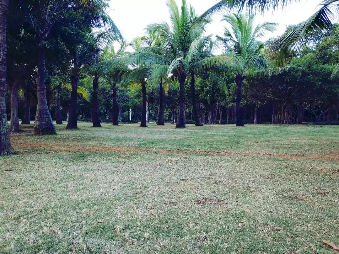 靠这64条玩转深圳！百万深圳人请收好！