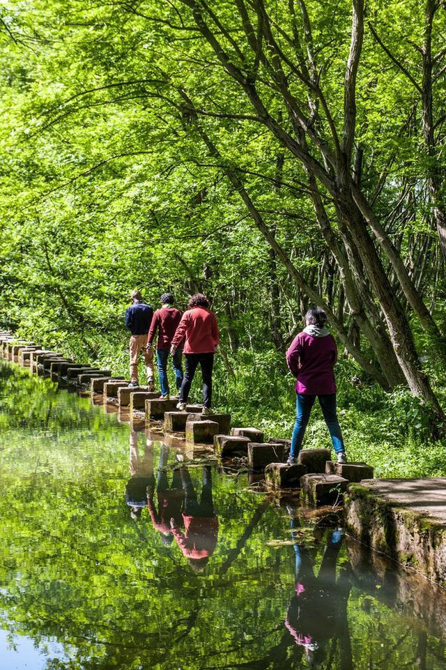黄山西溪南古村旅游,西溪湿地五一