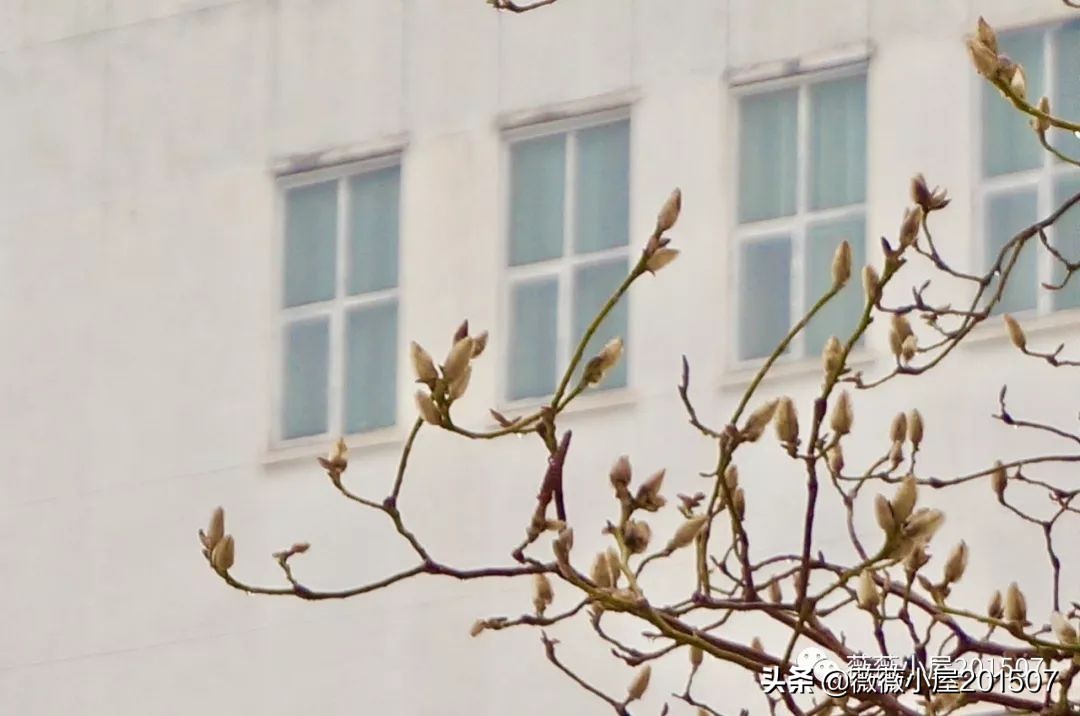 城市漫步,城市漫步郑州