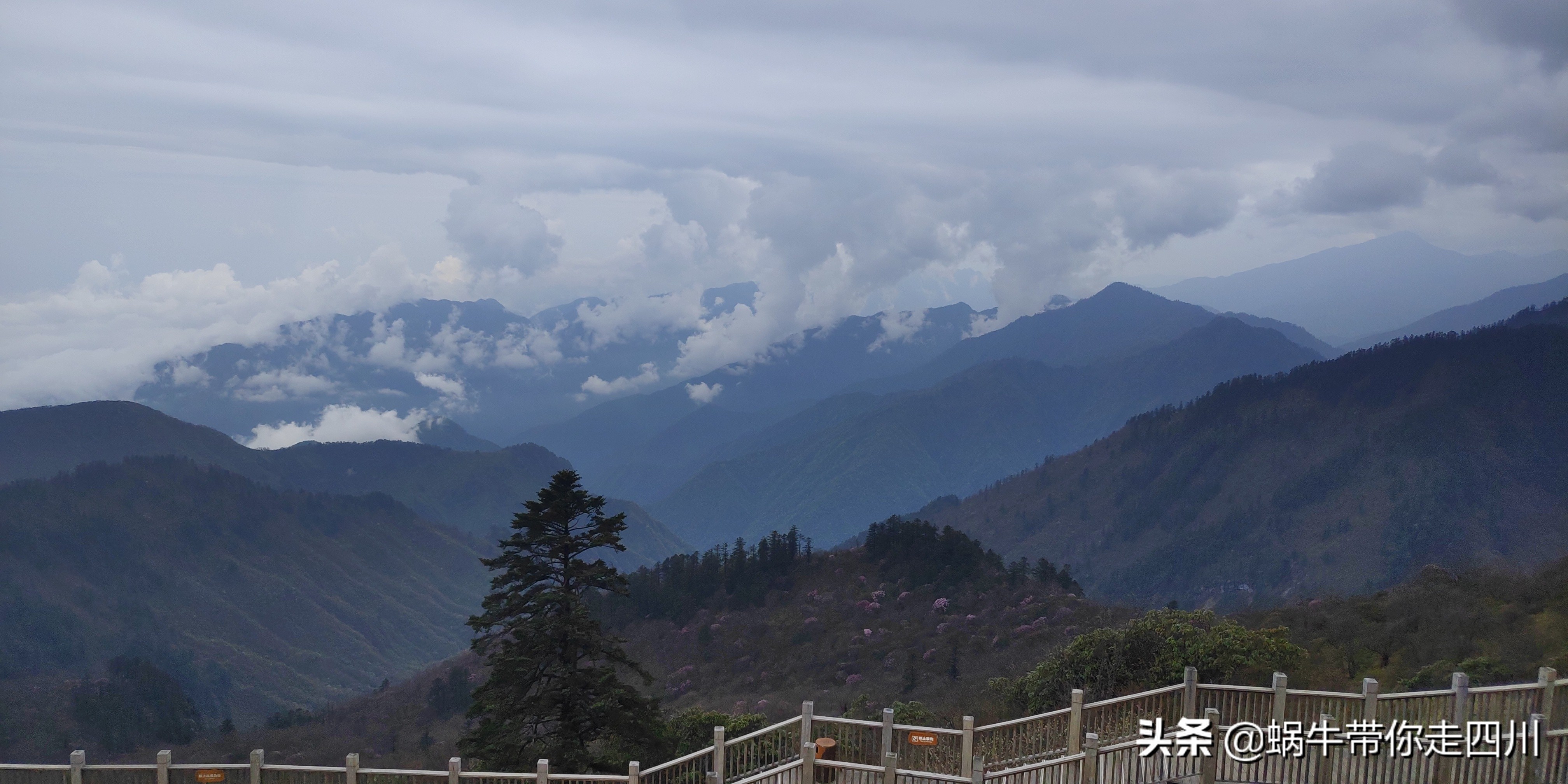 成都去西岭雪山两天一夜旅游团,成都出发雪山旅游