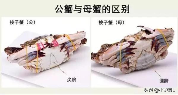 海鲜干货推荐烟台店有哪些,烟台海鲜干货怎么挑