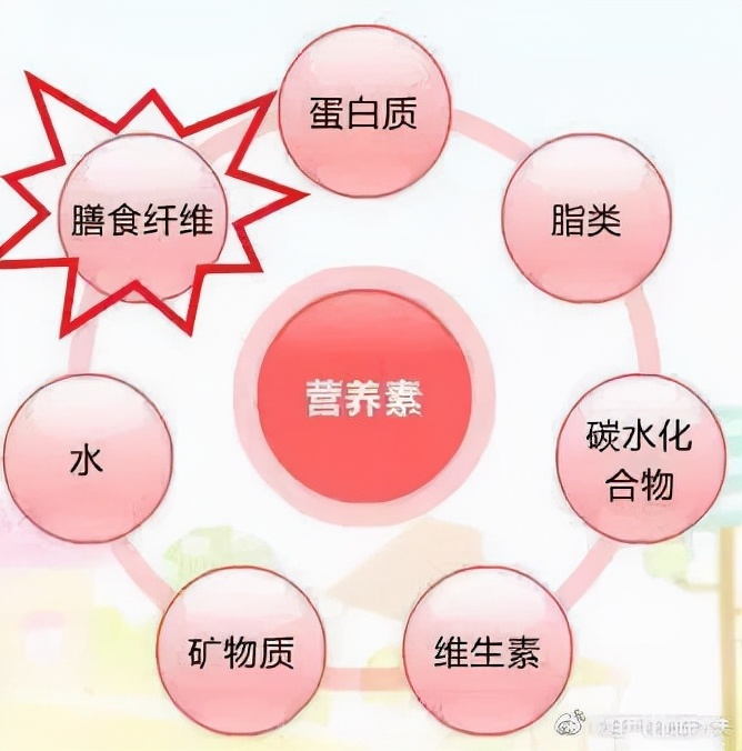 seeyoutomorrow金针菇什么梗,金针菇seeyoutomorrow