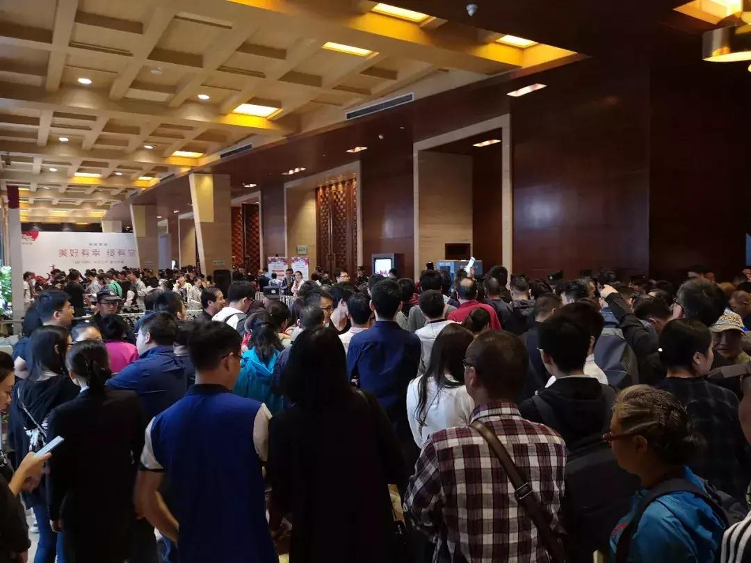 紧急call客,人人都想来一套的杨柳郡,差一点没卖完