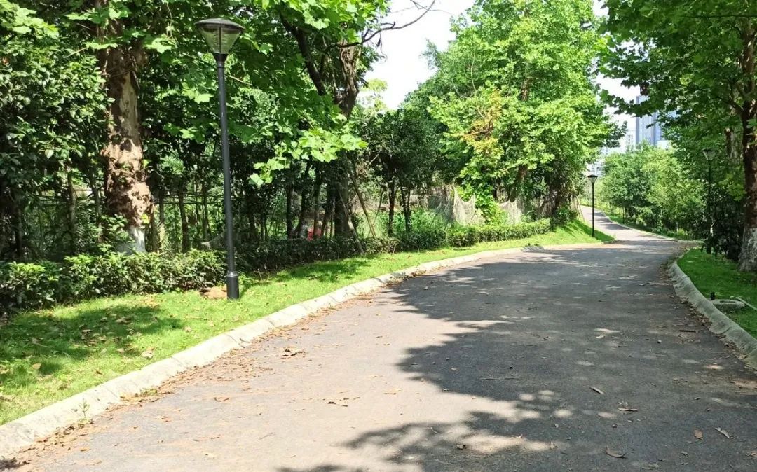 被56万压垮，重庆力帆帝国即将破产？昔日超级豪宅沦为鬼楼？