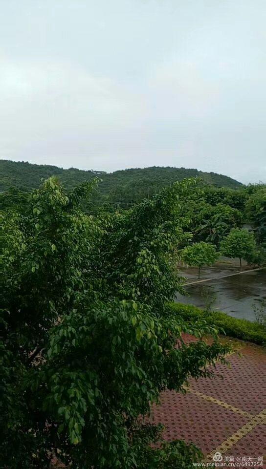 种农高手,农业高手