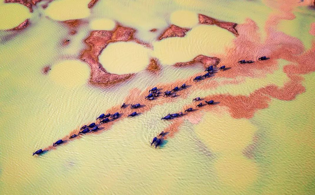 世界优秀获奖摄影作品,摄影大赛获奖作品欣赏