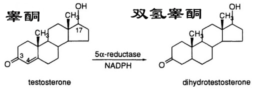 人到中年不得已都开始秃顶了,中年男人的三大危机秃顶发福