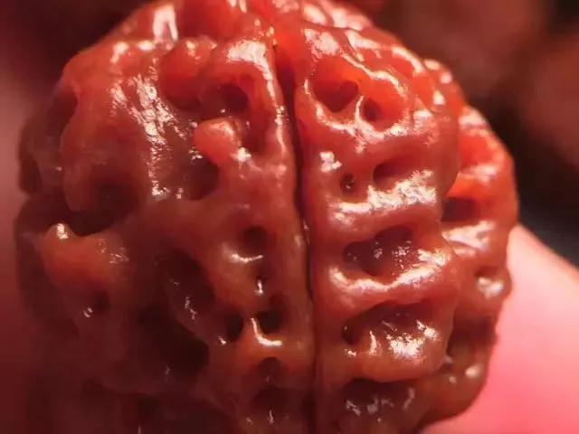 金刚菩提子纹路里面有小孔正常吗,金刚菩提啥样的纹路才是顶级的