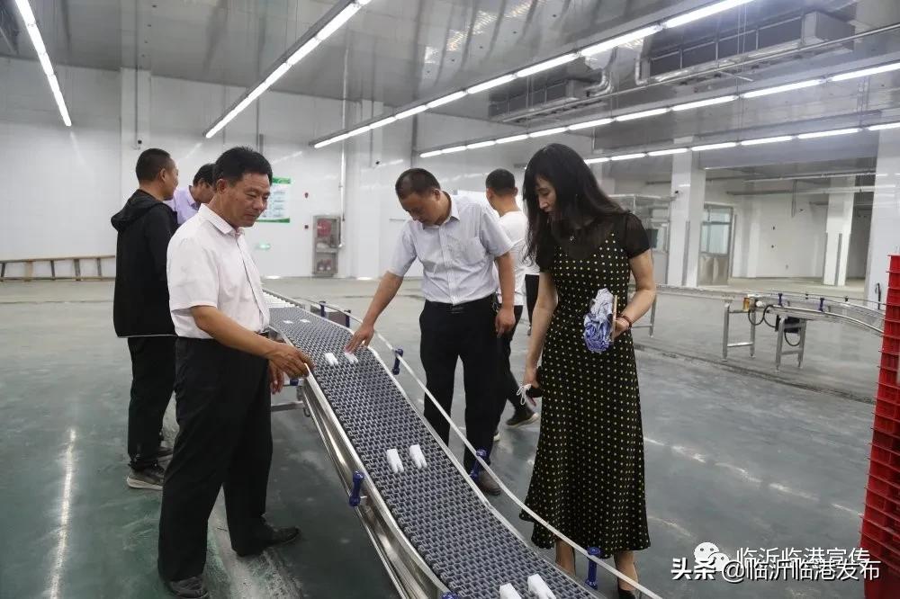 临港集团发展历程图,临港企业发展前景