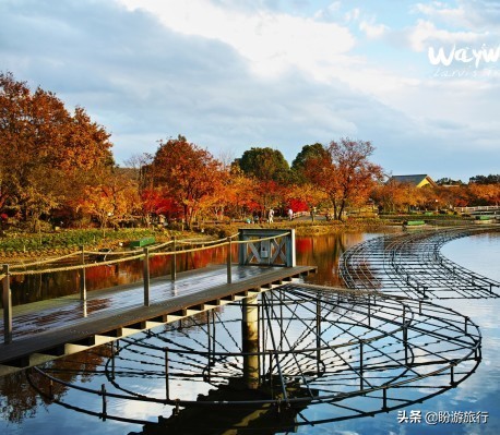 散步关西の日本深度自由行大阪都门奈良城崎、白滨温泉(上篇)