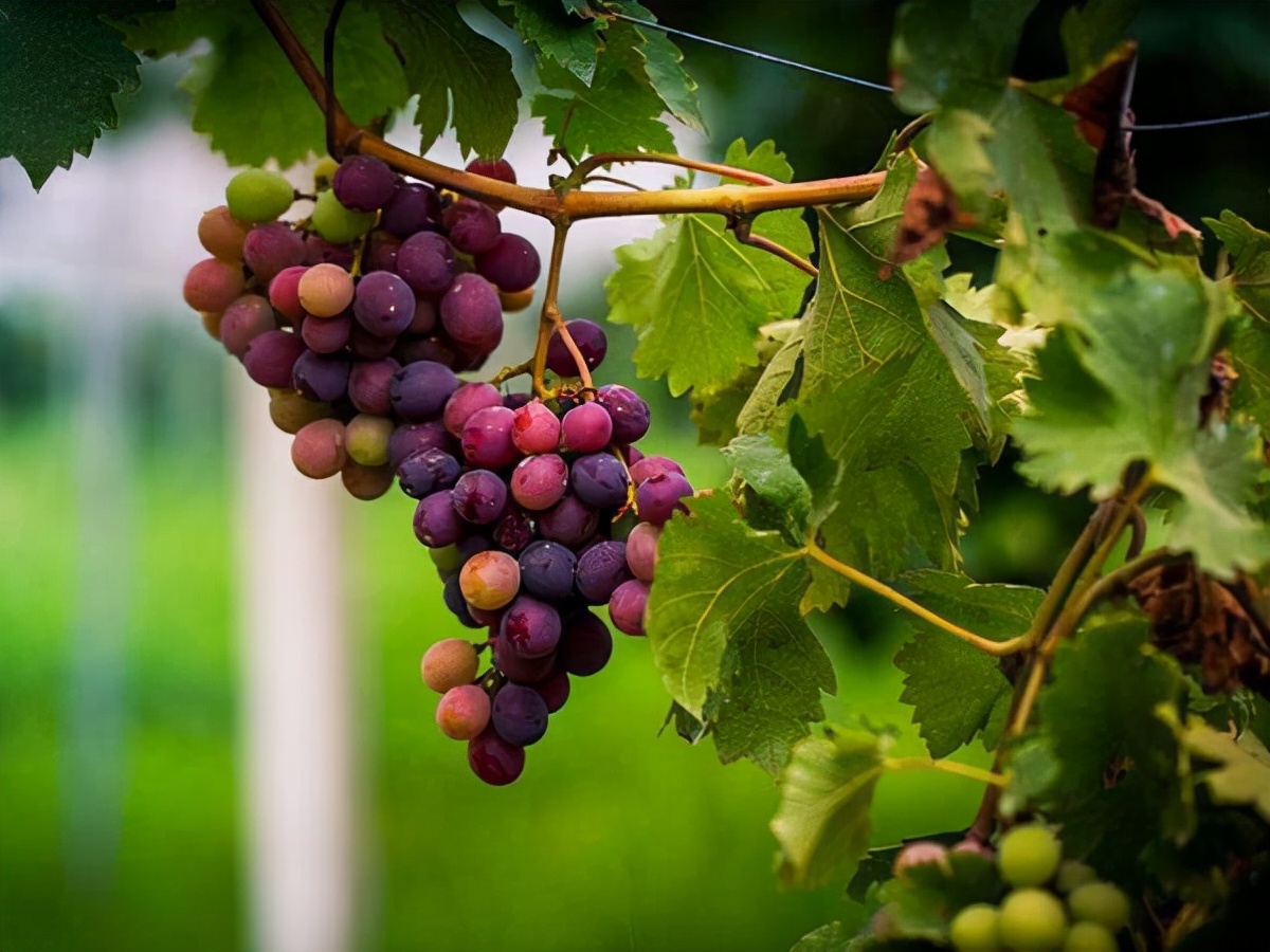 身体5处发出信号，可能脑梗在悄悄“靠近”，专家建议日常做好5点