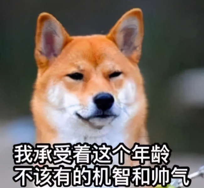 你们家狗子是怎么样的,你家狗子有什么特征呢