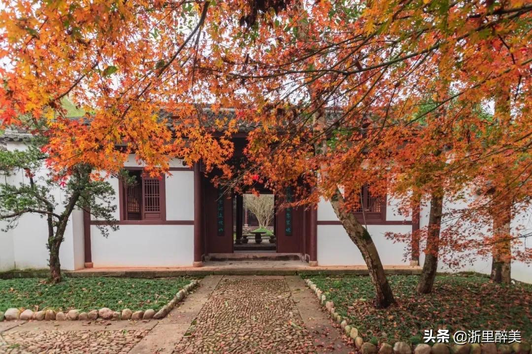 江南温泉第一,江南第一温泉