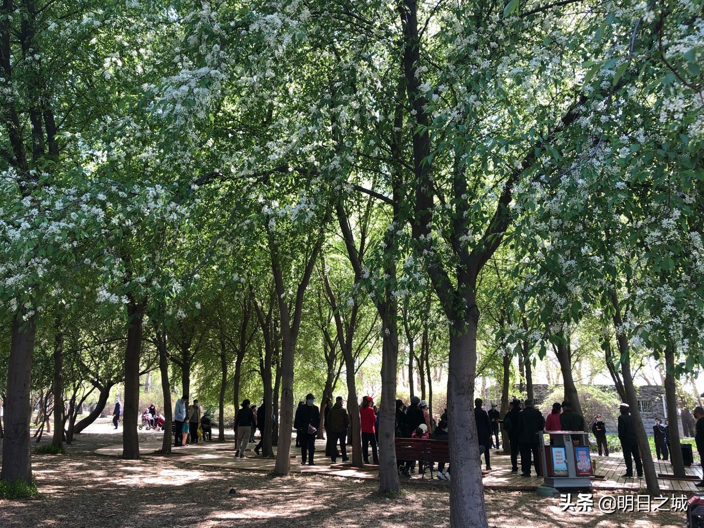 璐圭帀娓呯粡鍏告瓕鏇瞜tv,璐圭帀娓卥tv鍞辨瓕