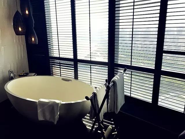 苏州金鸡湖周边楼盘,苏州相城凯悦酒店