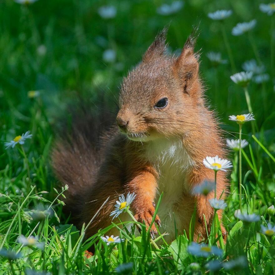他花了29年拍摄到了美丽瞬间,他花8年拍下深海珍稀生物