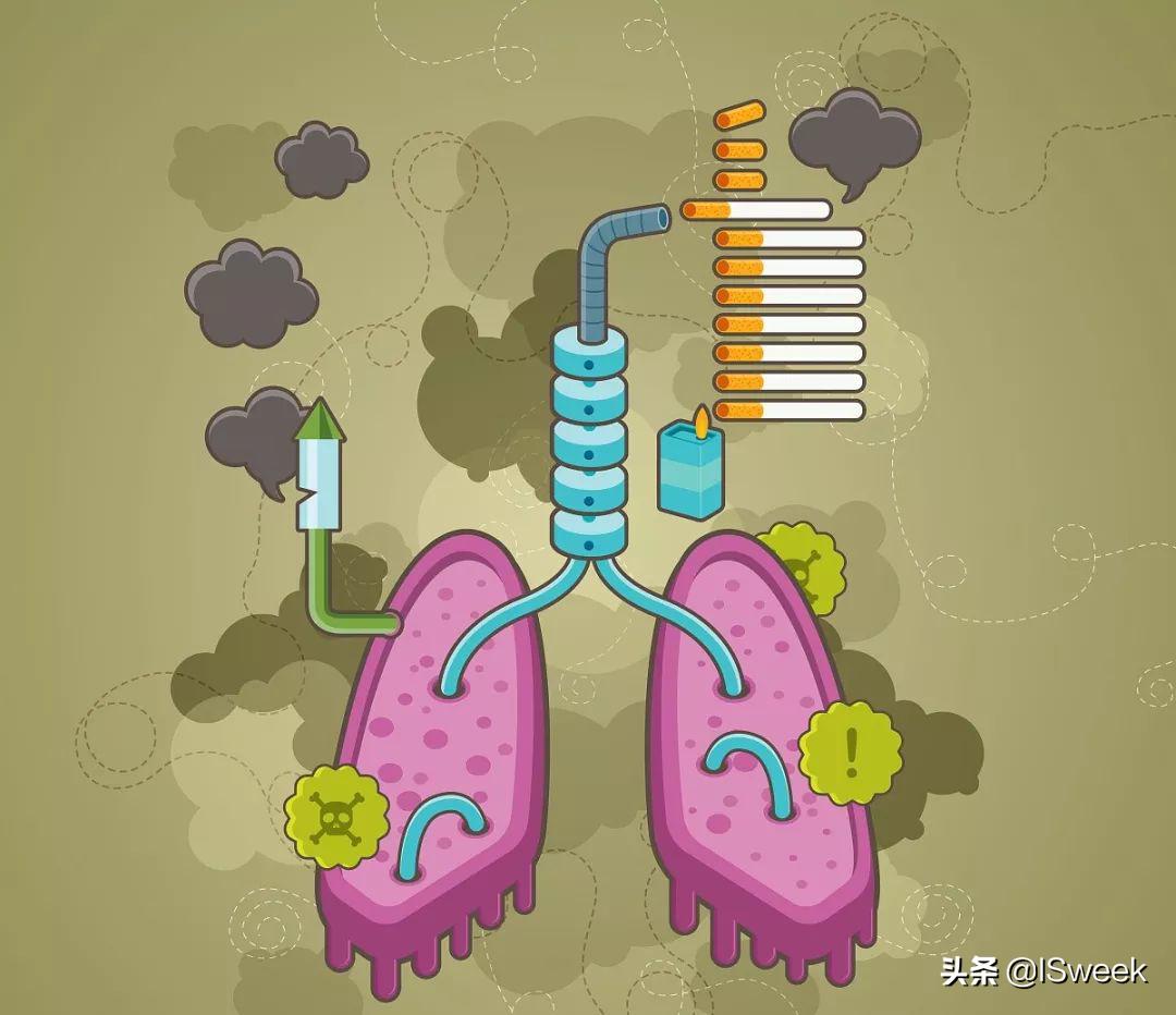 香烟烟雾对人体的危害,烟污染如何清理