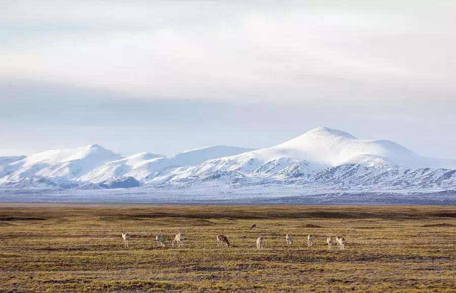 高效摄影,摄影慢动作
