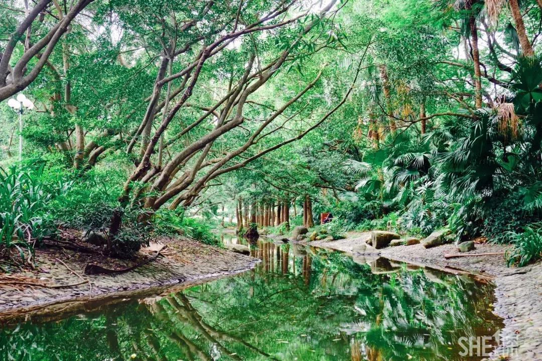 这里是东方世界,这里是东门英语怎么说